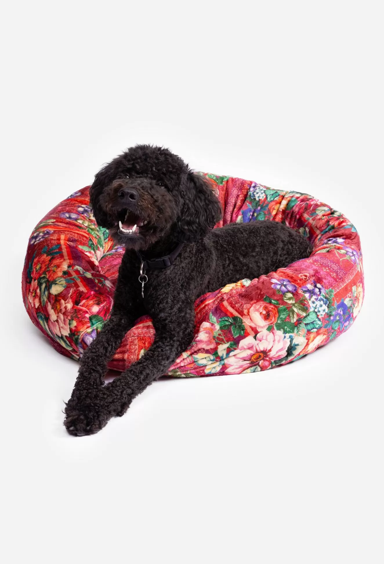 Pet Accessories>Johnny Was Bethia Large Dog Bed Behia