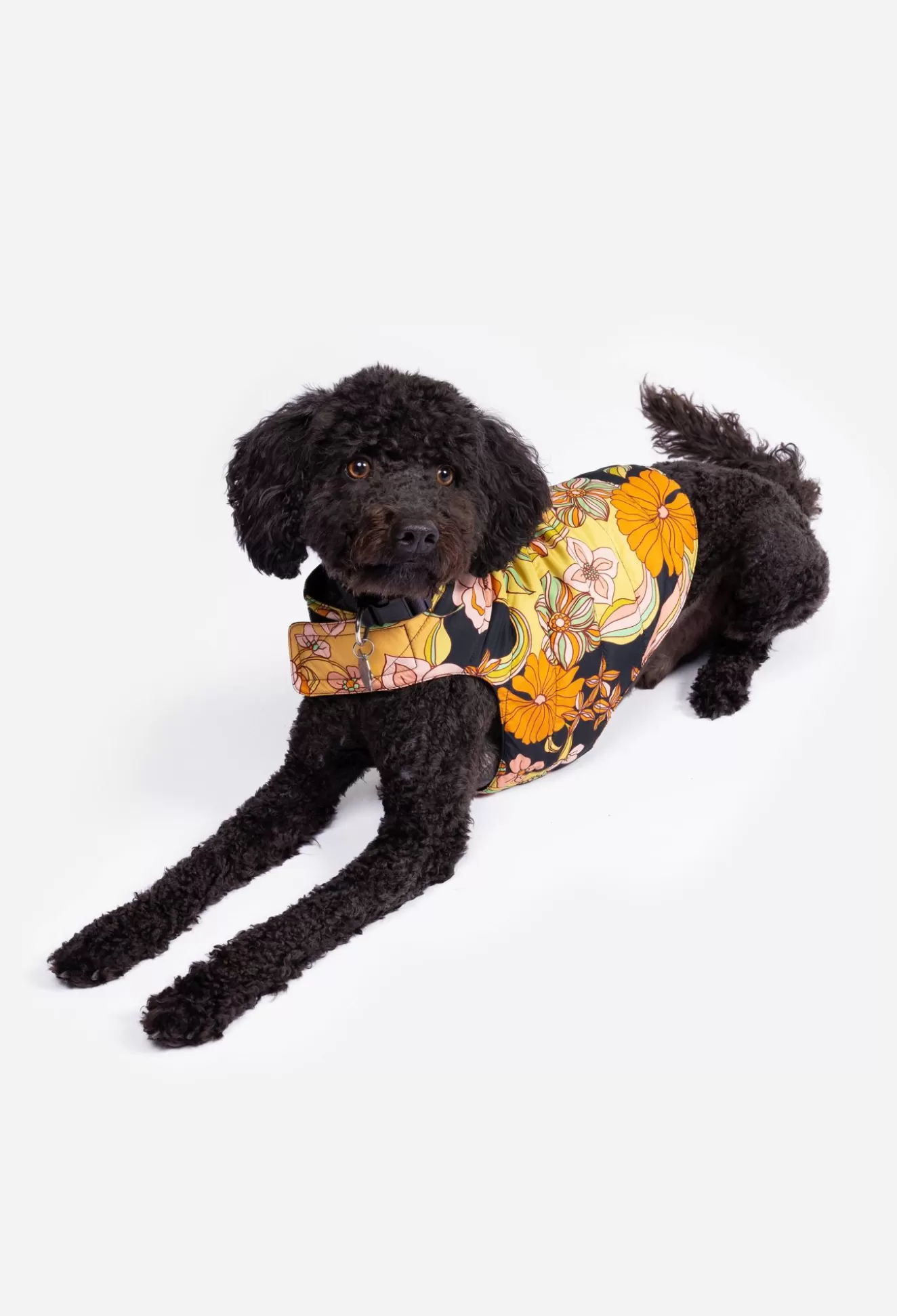 Pet Accessories>Johnny Was Nylon Puffer Jacket Wonder Years
