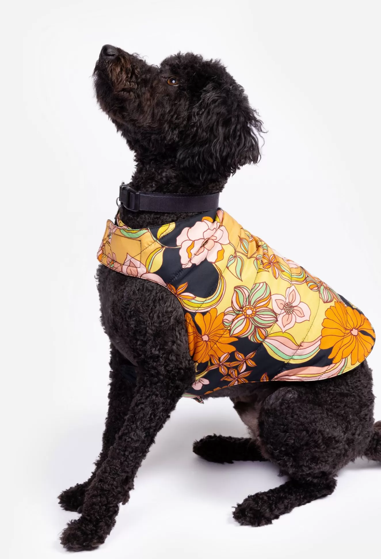 Pet Accessories>Johnny Was Nylon Puffer Jacket Wonder Years