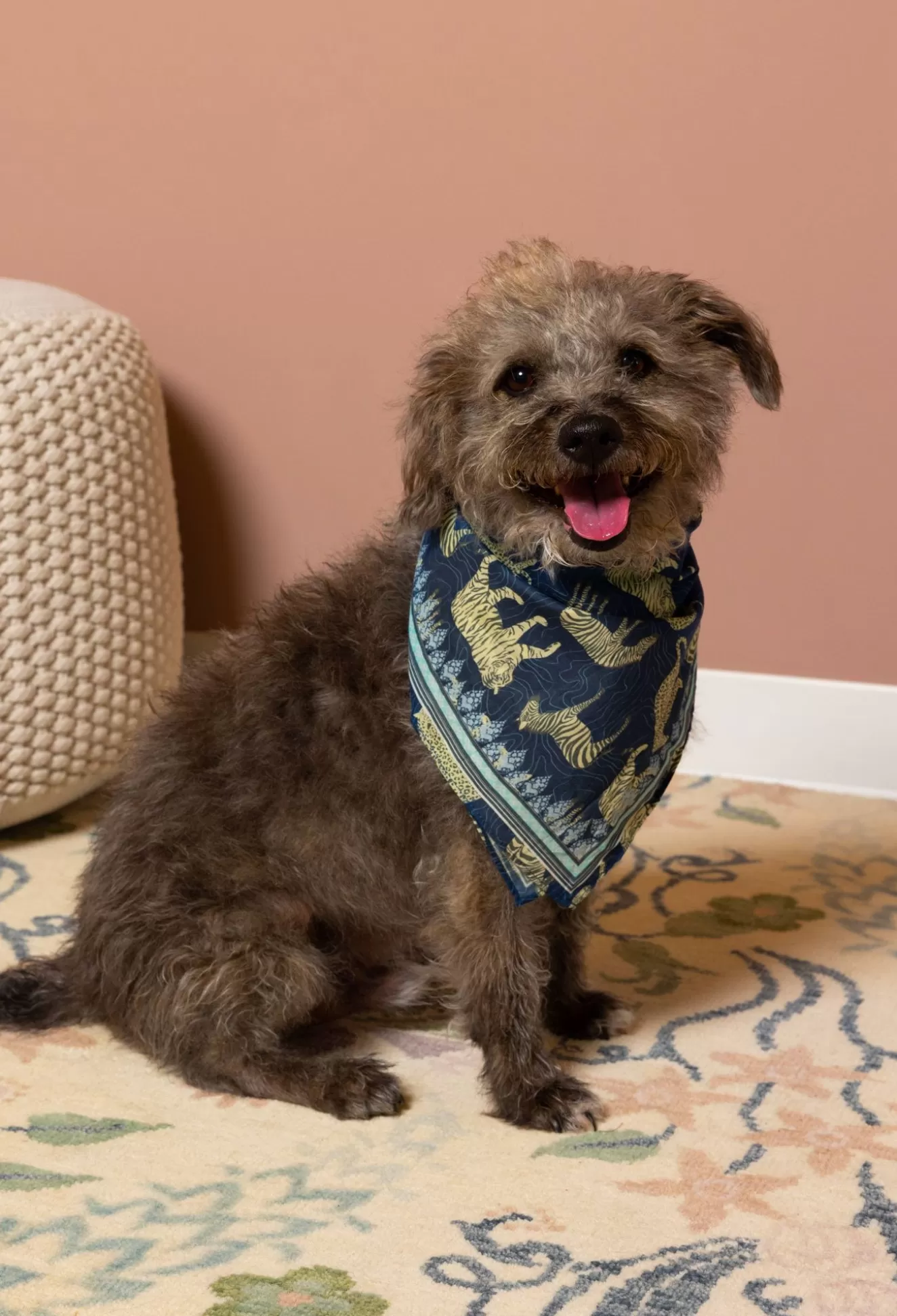 Pet Accessories>Johnny Was Pet Bandana Blue Tiger