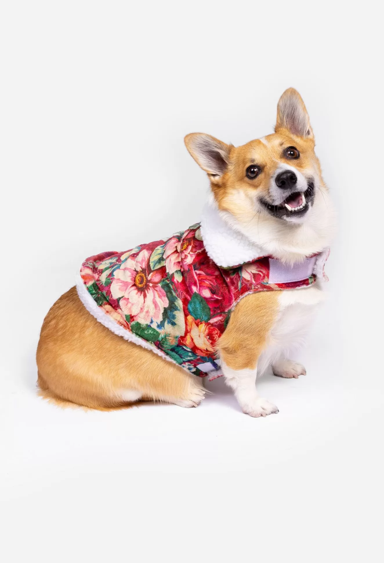 Pet Accessories>Johnny Was Sherpa Pet Jacket Bethia