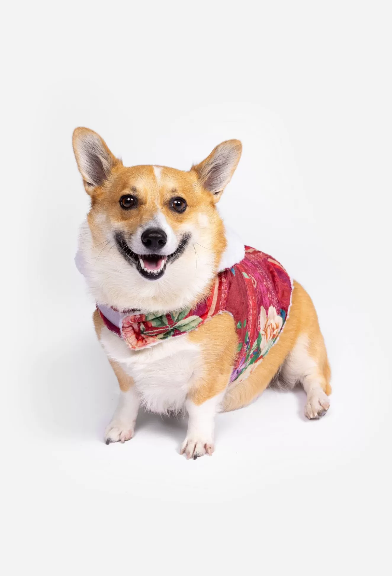 Pet Accessories>Johnny Was Sherpa Pet Jacket Bethia