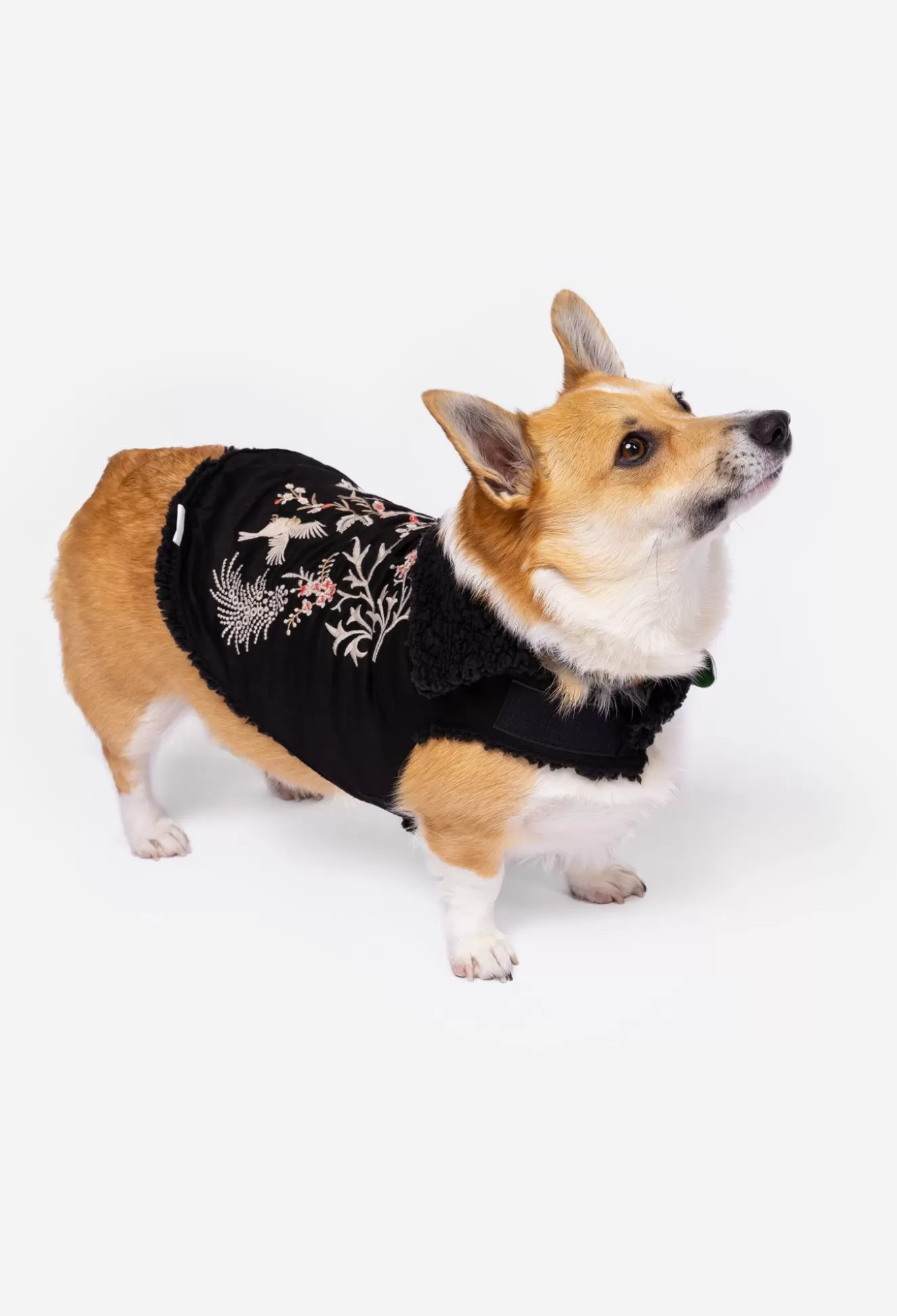 Pet Accessories>Johnny Was Valentina Embroidered Denim Pet Jacket Black