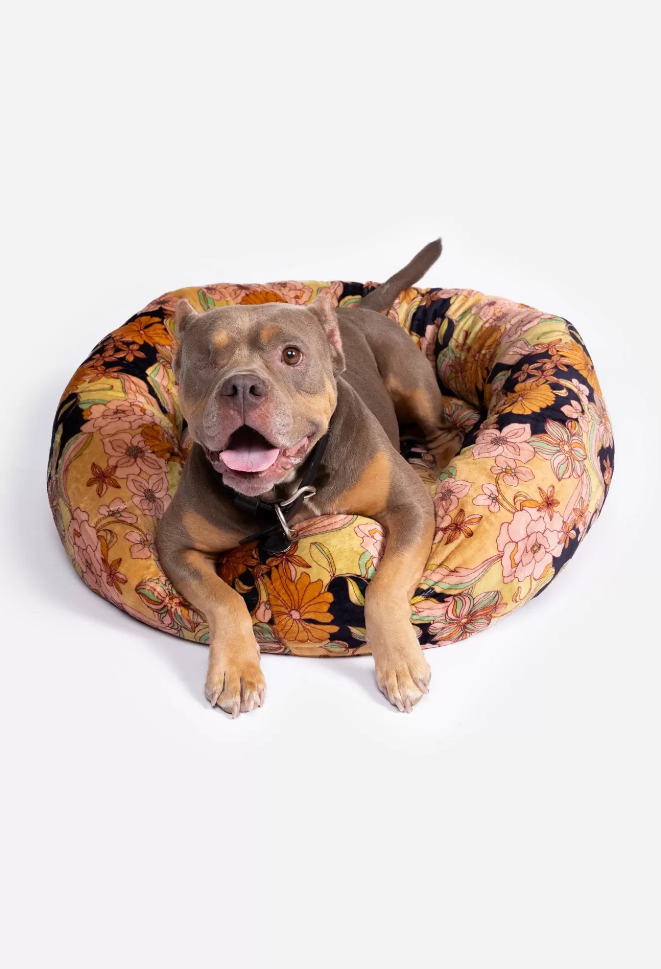 Pet Accessories>Johnny Was Wonder Years Large Dog Bed Wonderyears