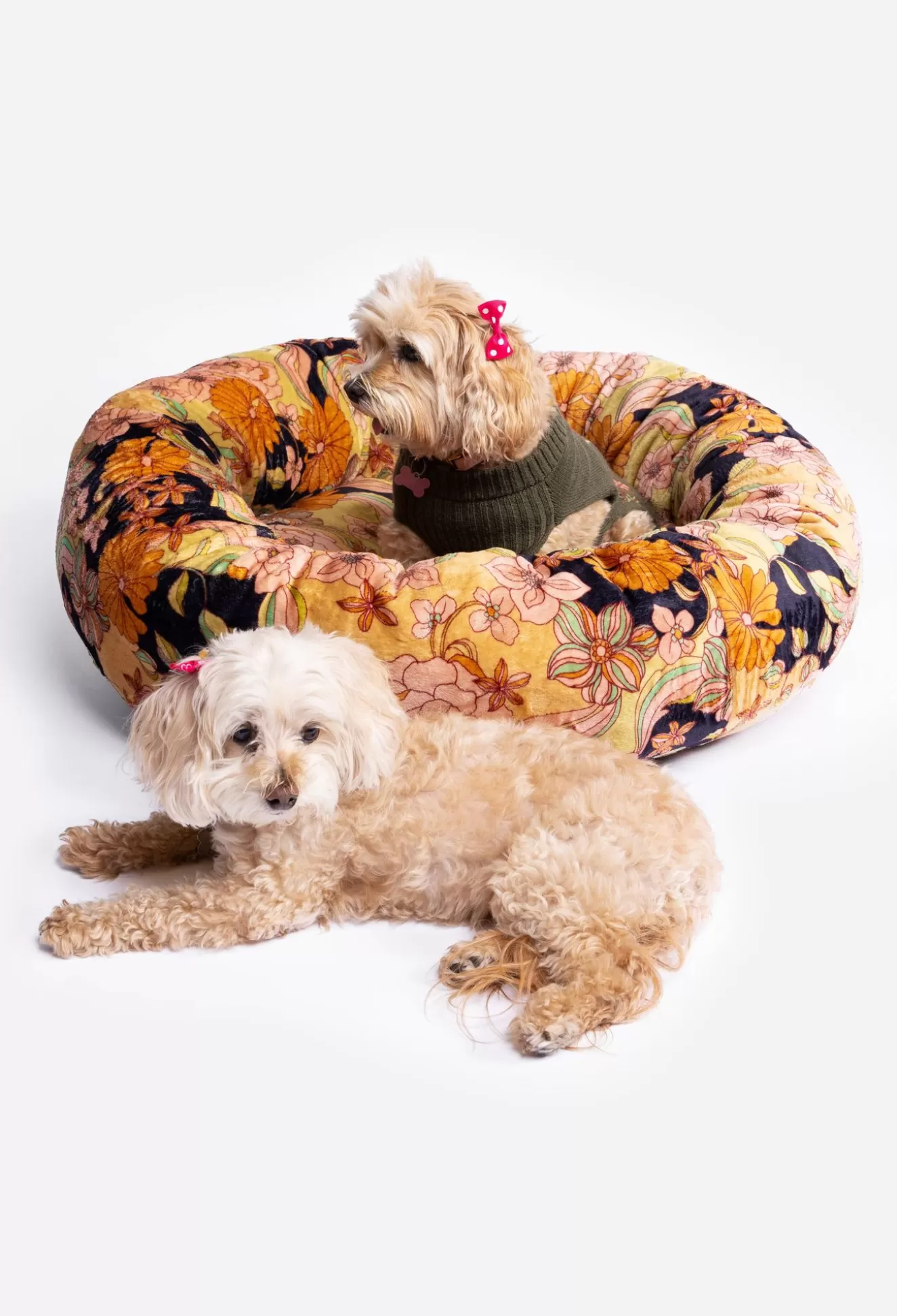 Pet Accessories>Johnny Was Wonder Years Large Dog Bed Wonderyears