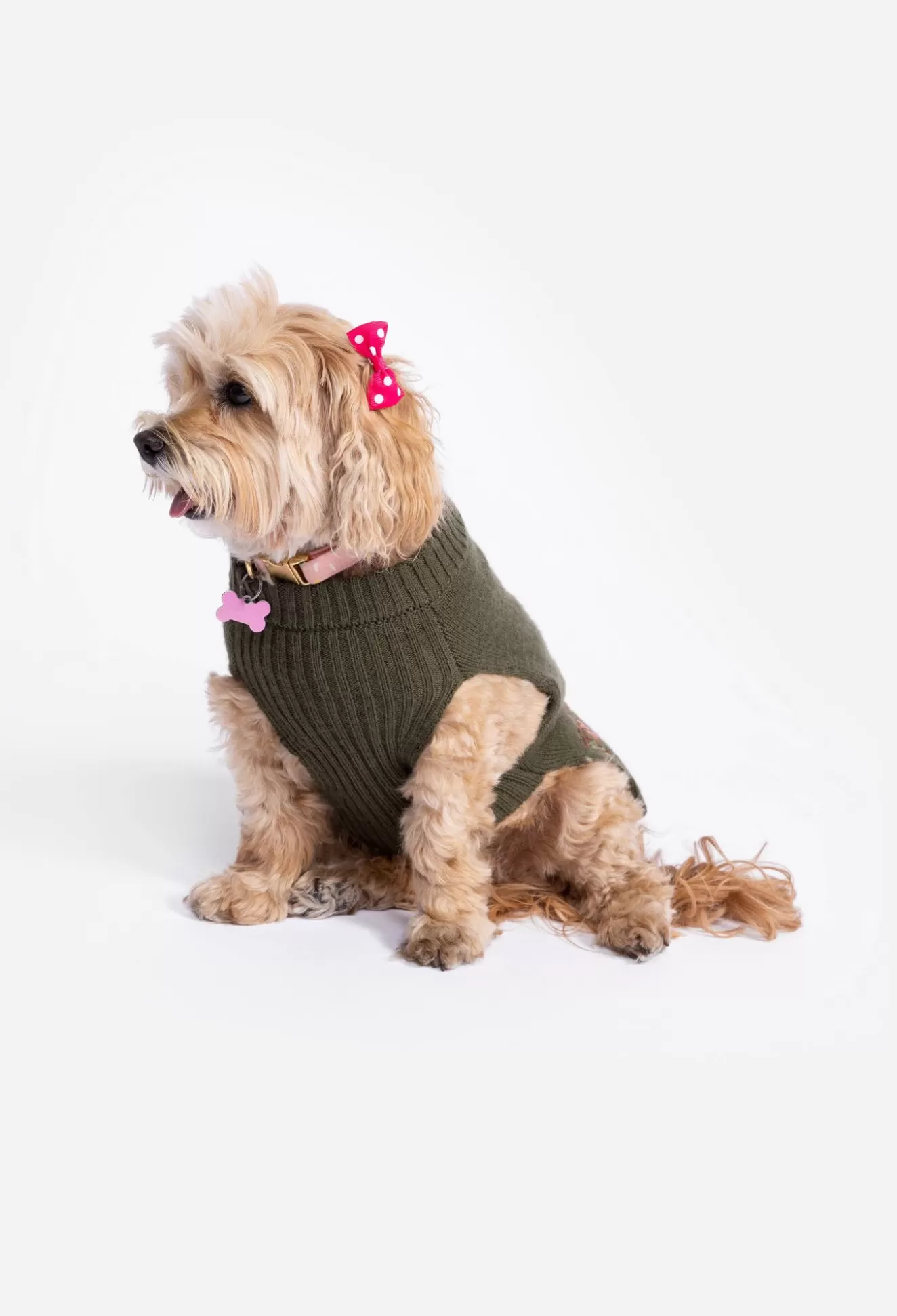Pet Accessories>Johnny Was Zuzu Embroidered Dog Sweater Black