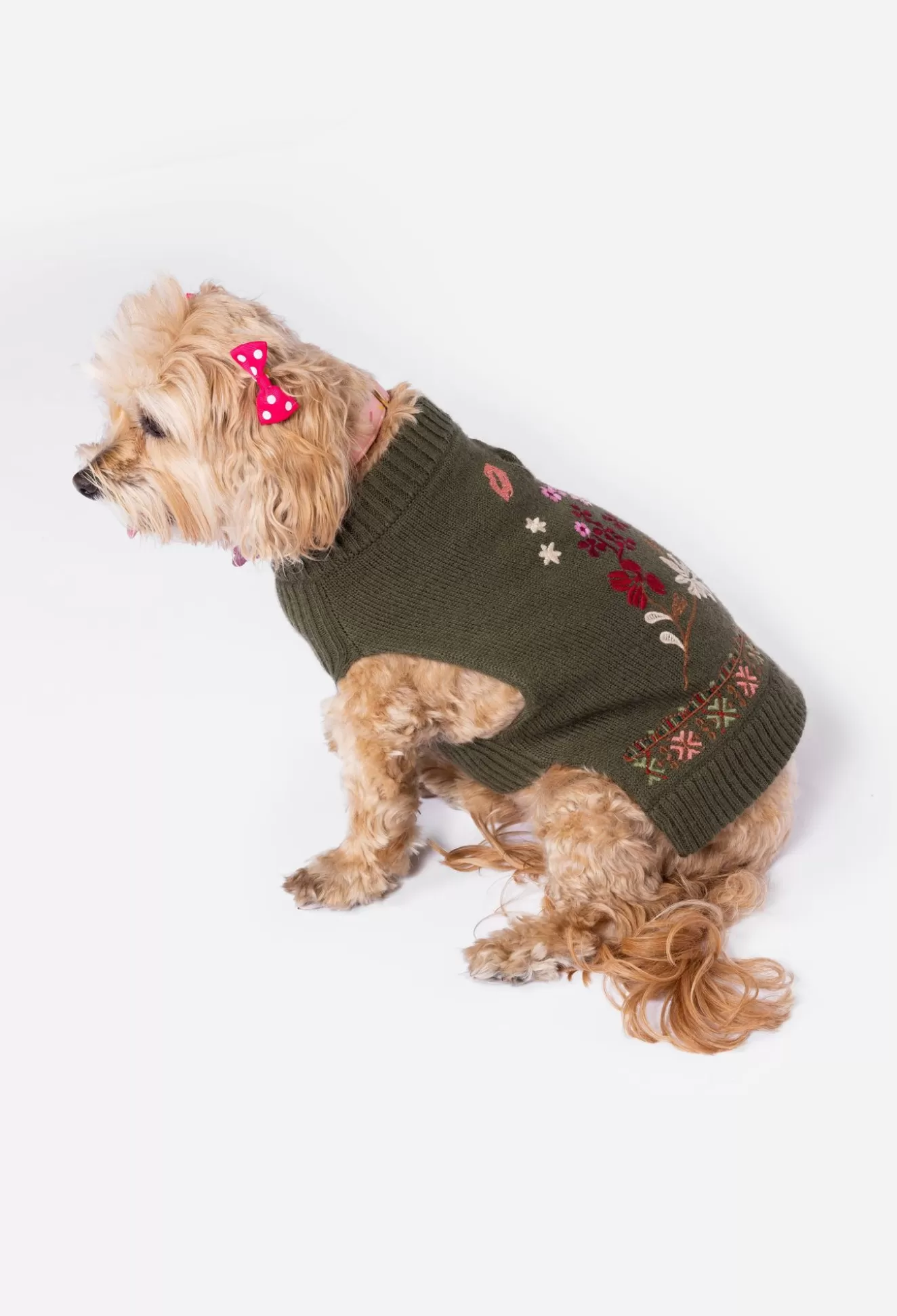 Pet Accessories>Johnny Was Zuzu Embroidered Dog Sweater Black